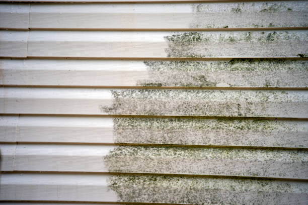 Best Demolition Debris Removal  in East Setauket, NY